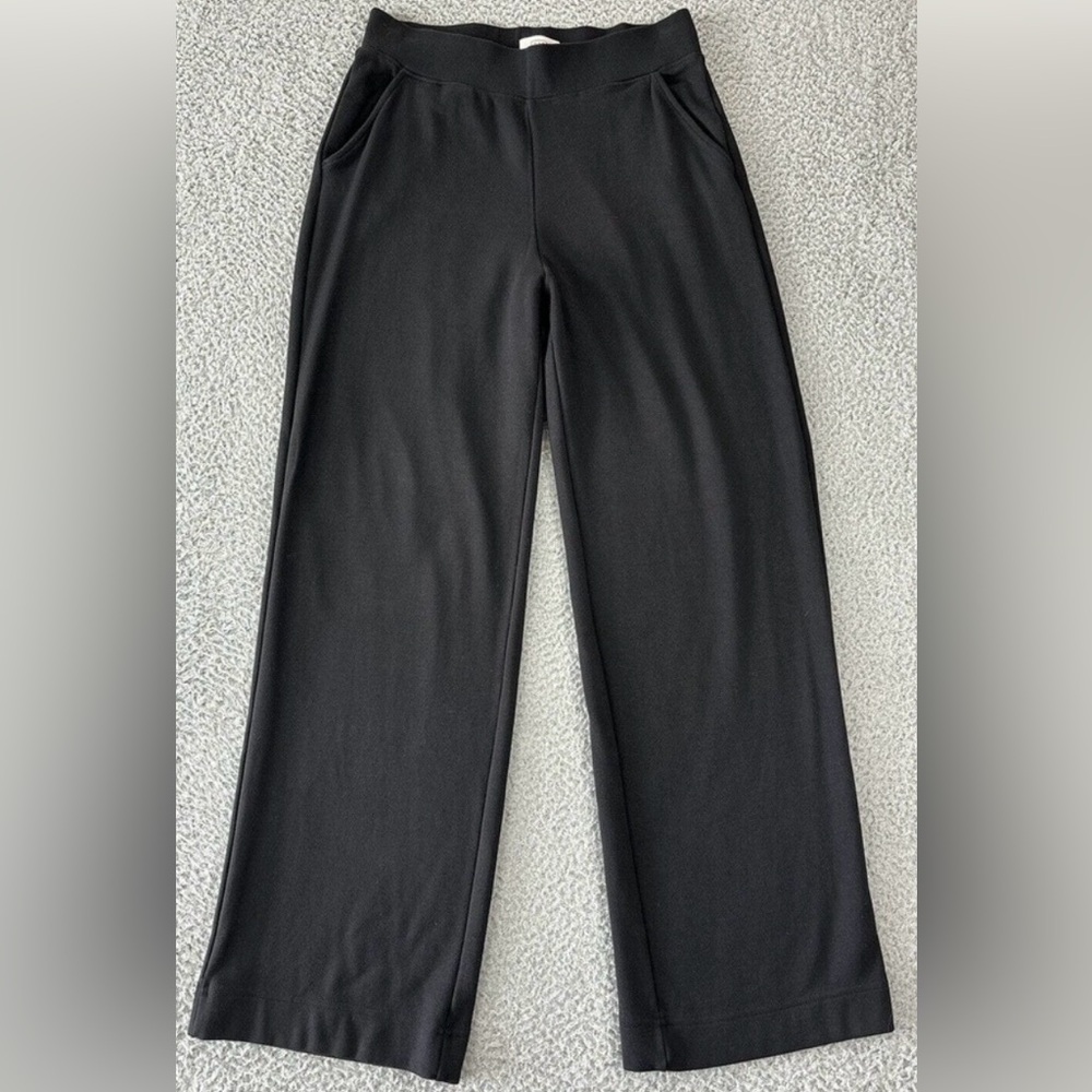 AYR The High Hopes Black Wide-Leg Pants